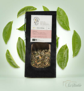 Is-studio-professionnels-003