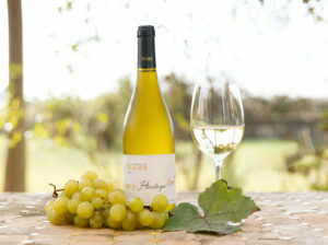 Is-studio-professionnels-016