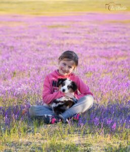 Is-studio-animalier-028