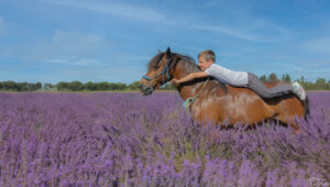 is-studio-animalier-042